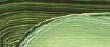 Akademie olej Schmincke 200ml – 506 sap green - 