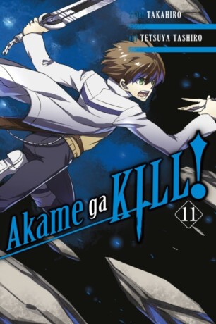 Akame ga KILL!, Vol. 11 - Hachette US,Christine Dashiell,Tetsuya Tashiro,Takahiro Takahiro