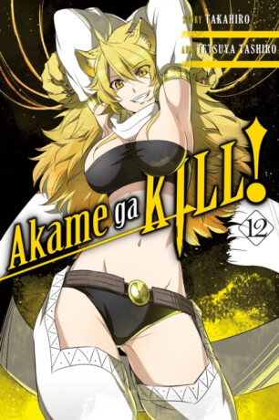 Akame ga KILL!, Vol. 12 - Hachette US,Christine Dashiell,Tetsuya Tashiro,Takahiro Takahiro