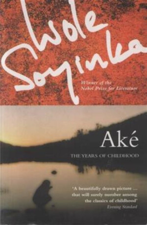 Ake: The Years of Childhood - Wole Soyinda