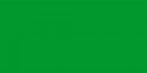 Akrylová barva Abstract 120ml – 811 Permanent Green Light - 