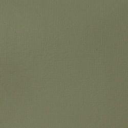Akrylová barva Basics 118ml – 205 green gray - 