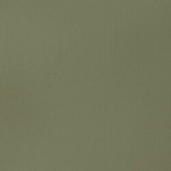 Akrylová barva Basics 118ml – 205 green gray - 