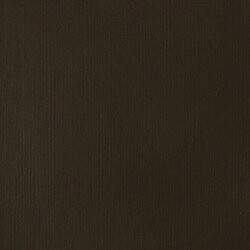 Akrylová barva Basics 118ml – 331 raw umber - 