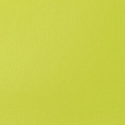 Akrylová barva Basics 118ml – 840 brilliant yellow green - 