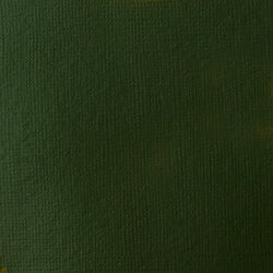 Akrylová barva Basics 22ml – 224 hookers green hue permanent - 