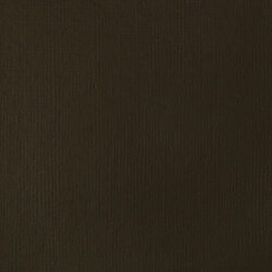 Akrylová barva Basics 22ml – 331 raw umber - 