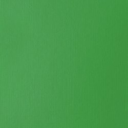 Akrylová barva Basics Fluid 118ml – 312 Light Green Permanent - 