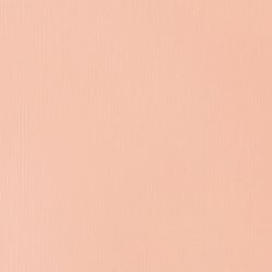 Akrylová barva Basics Fluid 118ml – 810 Light Pink - 