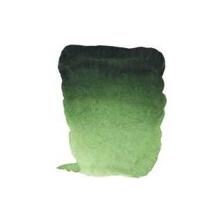 Akvarel Rembrandt 10ml Hooker Green LT 644 - 