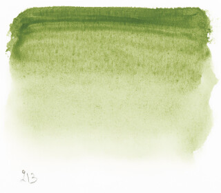 Akvarel v tubě 10 ml 213 S1 Green Earth - 