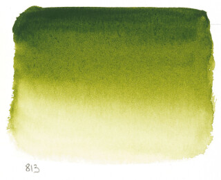 Akvarel v tubě 10 ml 813 S1 Olive Green - 