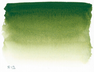 Akvarel v tubě 10 ml 819 S1 Sap Green - 