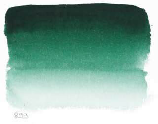 Akvarel v tubě 10 ml 899 S1 Forest Green - 