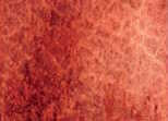 Akvarelová barva DS 15ml – 151 Burgundy Red Ochre - 