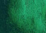 Akvarelová barva DS 15ml – 210 Diopside Genuine - 