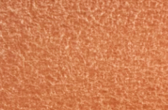 Akvarelová barva DS 15ml – 254 Earthy Light Red - 