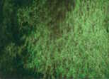 Akvarelová barva DS 5ml – 197 Green Apatite Genuine - 