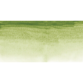Akvarelová barva Sennelier 1/2 – 213 Green Earth - 