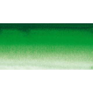 Akvarelová barva Sennelier 1/2 – 809 Hooker's Green - 