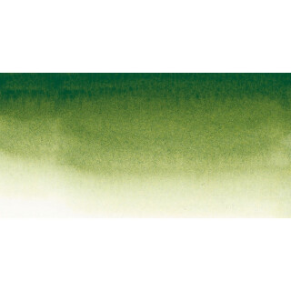 Akvarelová barva Sennelier 1/2 – 819 Sap Green - 