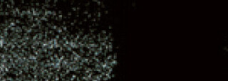 Akvarelová pastelka Derwent 67 IVORY BLACK - 