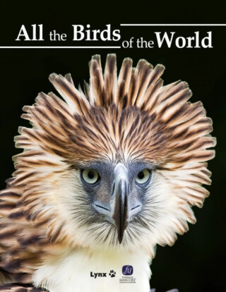 All the Birds of the World - 