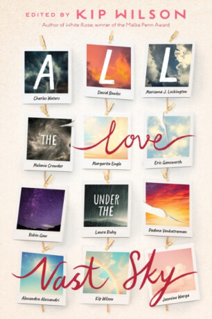All the Love Under the Vast Sky - Padma Venkatraman,David Bowles,Margarita Engle,Alexandra Alessandri,Laura Ruby,Robin Gow,Melanie Crowder,Mariama J. Lockington,Eric Gansworth