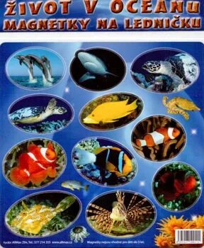 ALLMAX- Magnetky - Život v oceánu - Kol. autorů