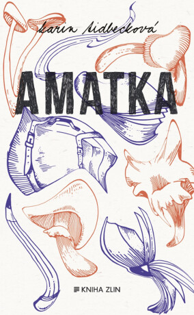 Amatka - Karin Tidbecková