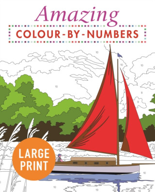 Amazing Colour-by-Numbers Large Print - Arcturus Publishing Limited