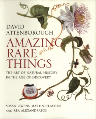 Amazing Rare Things - David Attenborough,Susan Owens,Rea Alexandratos,Martin Clayton