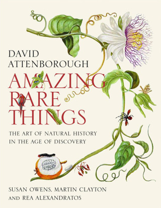 Amazing Rare Things: The Art of Natural History in the Age of Discovery  - David Attenborough
