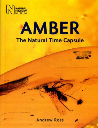 Amber - Andrew Ross