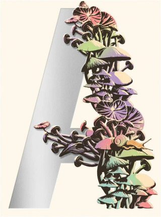 Ambergris - Jeff VanderMeer