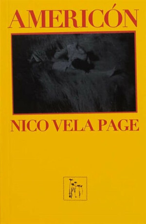 AmericÃ³n - Nico Vela Page