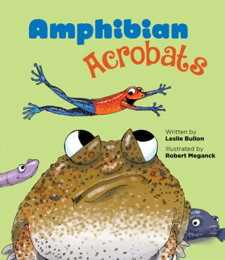 Amphibian Acrobats - 