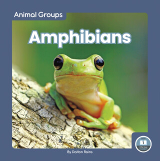 Amphibians - Dalton Rains