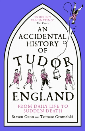 An Accidental History of Tudor England - Steven Gunn