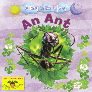 An Ant - Ruth Owen