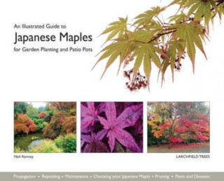 An Illustrated Guide to Japanese Maples for Garden Planting and Patio Pots - Neil Kenney