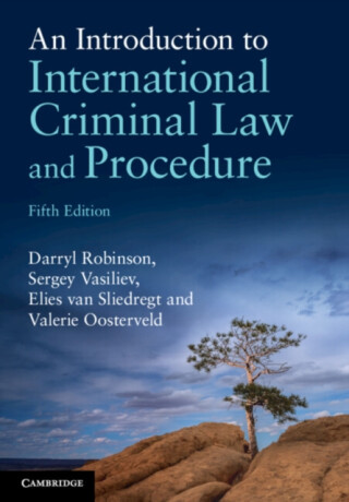An Introduction to International Criminal Law and Procedure - Darryl  Robinson,Valerie  Oosterveld,Sergey  Vasiliev,Elies  van Sliedregt