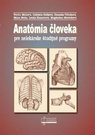 Anatómia človeka pre nelekárske študijné odbory - Yvetta Mellová,Gabriela Hešková,Desanka Výbohová