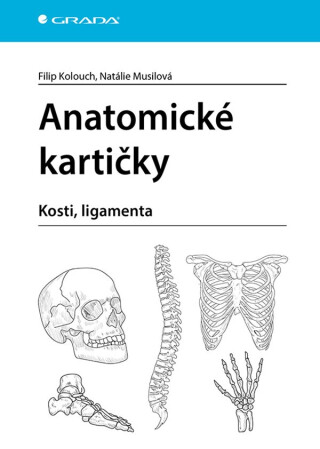 Anatomické kartičky - Filip Kolouch,Natálie Musilová