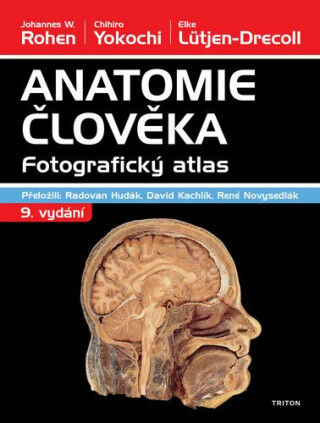 Anatomie člověka - Fotografický atlas - kolektiv autorů,Elke Lütjen-Drecoll,Chihiro Yokochi,Johannes W. Rohen