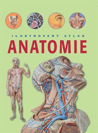 Anatomie Ilustrovaný atlas - 