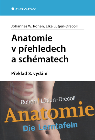 Anatomie v přehledech a schématech - Johannes W. Rohen,Elke Lütjen-Drecoll