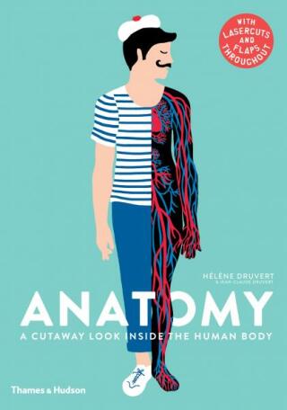 Anatomy: A Cutaway Look Inside the Human Body - Hélene Druvert,Jean-Claude Druvert