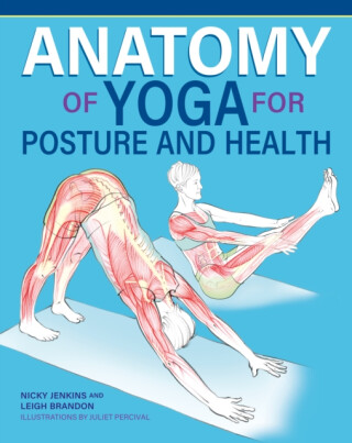 Anatomy of Yoga for Posture and Health - Nicky Jenkins