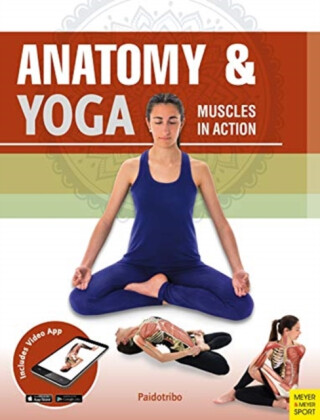 Anatomy & Yoga - Mireia Patino Coll